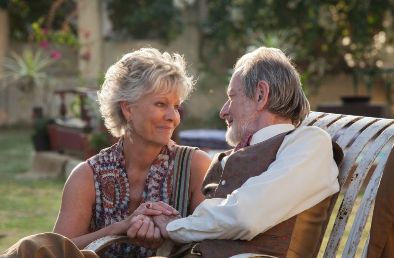 The-Best-Exotic-Marigold-Hotel-2 (2) (1)